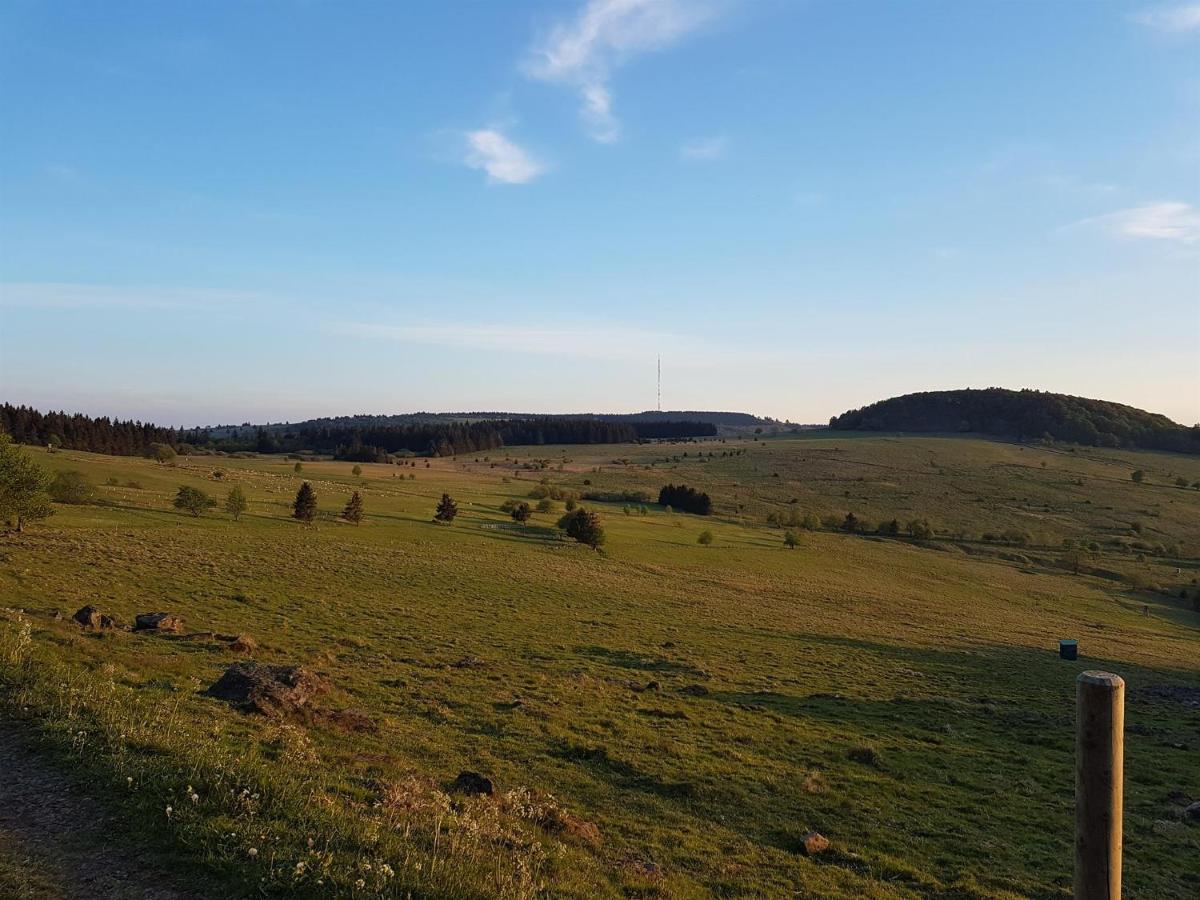 Ferienwohnung Pusteblume Ehrenberg  Exteriér fotografie